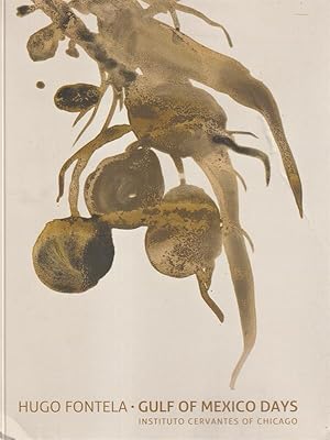 Imagen del vendedor de Gulf of Mexico days a la venta por Librodifaccia