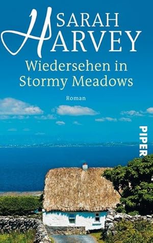 Wiedersehen in Stormy Meadows: Roman