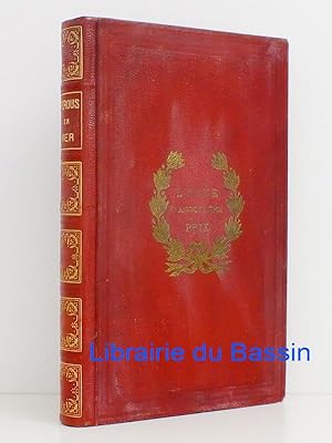 Bild des Verkufers fr Perdus en Mer zum Verkauf von Librairie du Bassin