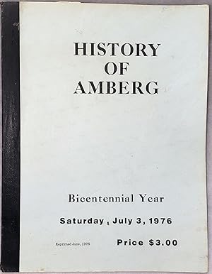 The History Of Amberg