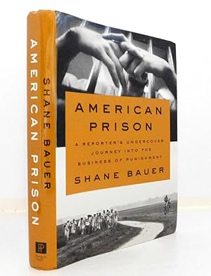 American Prison: A Reporter's Undercover Journey into the Business of Punishment