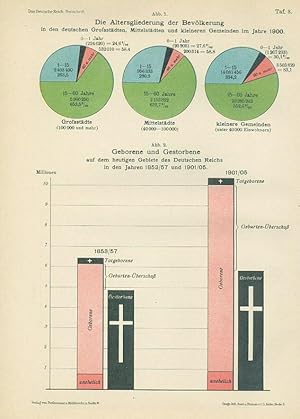 Imagen del vendedor de Das Deutsche Reich in gesundheitlicher und demographischer Beziehung. Festschrift, den Teilnehmern am XIV. Internationalen Kongresse fr Hygiene und Demographie. Berlin, 1907. a la venta por Inanna Rare Books Ltd.