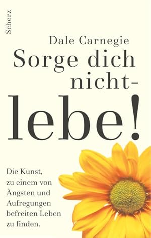 Sorge dich nicht - lebe!. Dale Carnegie