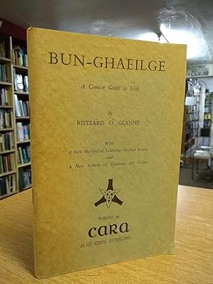 BUN-GHAEILGE A CONCISE GUIDE TO IRISH