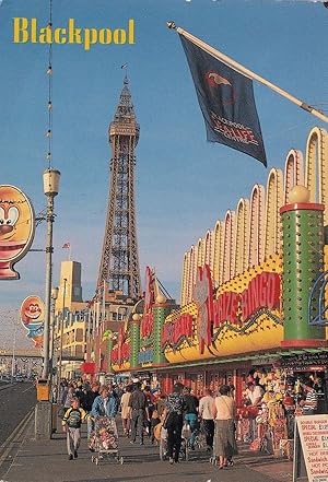 Blackpool Bingo Amusements Postcard