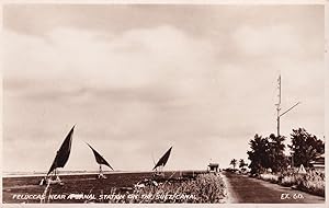 Feluccas Near Canal Station on Suez Canal Egpytian Old Real Photo Postcard