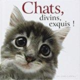 Imagen del vendedor de Chats, Divins, Exquis ! : Un Livre-cadeau Helen Exley a la venta por RECYCLIVRE