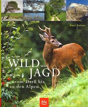 Wild und Jagd vom Darß bis zu den Alpen