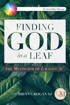 Seller image for Finding God in a Leaf: The Mysticism of Laudato Si' for sale by Book Bunker USA