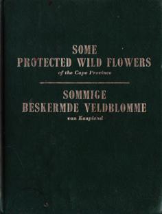 Some Protected Wild Flowers of the Cape Province