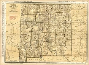 Bild des Verkufers fr McNally's 1922 Map of New Mexico zum Verkauf von Art Source International Inc.