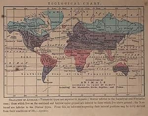 Seller image for Distribution of Animals According to Zones of Climate for sale by Art Source International Inc.