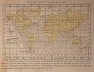 Seller image for Chart of Tidal Lines for sale by Art Source International Inc.