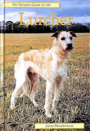Pet Owner's Guide To The Lurcher