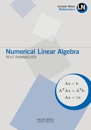 Bild des Verkufers fr Numerical Linear Algebra (Lecture Notes Mathematics) zum Verkauf von AHA-BUCH