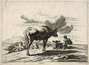 Cows and Sheprherd with Village below. First edition.