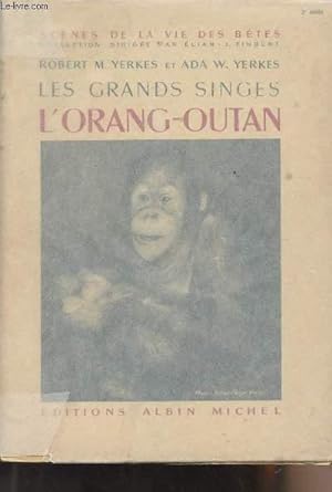 Bild des Verkufers fr Les grands singes - L'orang-outan - "Scne de la vie des btes" zum Verkauf von Le-Livre