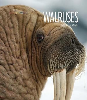 Immagine del venditore per Living Wild: Walruses by Gish, Melissa [Paperback ] venduto da booksXpress