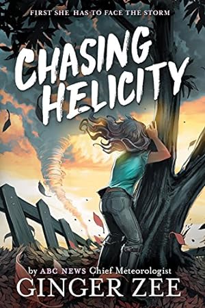 Seller image for Chasing Helicity by Zee, Ginger [Hardcover ] for sale by booksXpress