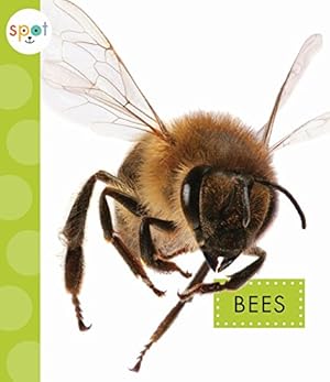 Bild des Verkufers fr Bees (Spot) by Black, Nessa [Paperback ] zum Verkauf von booksXpress