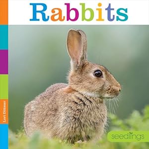 Bild des Verkufers fr Rabbits (Seedlings: Backyard Animals) by Dittmer, Lori [Paperback ] zum Verkauf von booksXpress