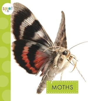 Bild des Verkufers fr Moths (Spot Creepy Crawlies) by Black, Nessa [Paperback ] zum Verkauf von booksXpress