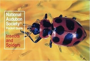 Seller image for National Audubon Society Pocket Guide: Insects and Spiders (National Audubon Society Pocket Guides) by National Audubon Society [Paperback ] for sale by booksXpress