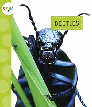 Bild des Verkufers fr Beetles (Spot) by Black, Nessa [Paperback ] zum Verkauf von booksXpress