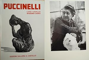 Seller image for Raimondo Puccinelli. Con un saggio di Massimo Carr. Mit 77 Abbildungen auf Tafeln. for sale by Treptower Buecherkabinett Inh. Schultz Volha