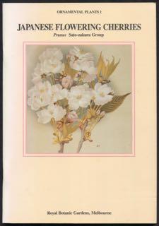 Japanese flowering cherries : Prunus Sato-zakura group.