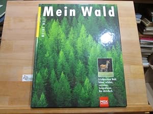 Seller image for Mein Wald : sehen, verstehen, fotografieren. Thomas Vogler / Meine Welt for sale by Antiquariat im Kaiserviertel | Wimbauer Buchversand
