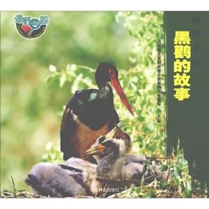 Imagen del vendedor de Green Pursuit: black stork story(Chinese Edition) a la venta por liu xing