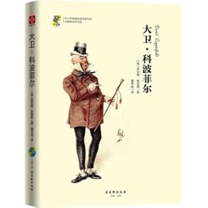 Seller image for David Copperfield(Chinese Edition) for sale by liu xing