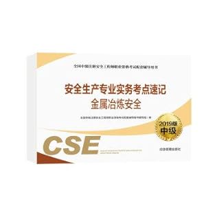 Seller image for Professional Practice safe production test sites shorthand metal smelting security(Chinese Edition) for sale by liu xing