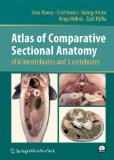 Seller image for Atlas of Comparative Sectional Anatomy of 6 invertebrates and 5 vertebrates. for sale by Antiquariat Buchseite