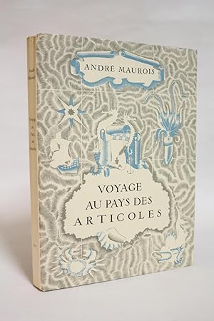 Seller image for Voyage au pays des articoles for sale by Librairie Le Feu Follet