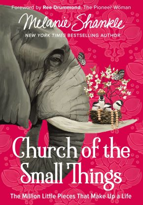 Imagen del vendedor de Church of the Small Things: The Million Little Pieces That Make up a Life a la venta por ChristianBookbag / Beans Books, Inc.