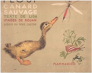 Plouf canard sauvage / images de Rojan