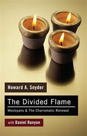 Bild des Verkufers fr Divided Flame : Wesleyans & the Charismatic Renewal zum Verkauf von GreatBookPrices