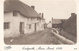Cadgwith Cornwall in Victorian Times 1899 Postcard