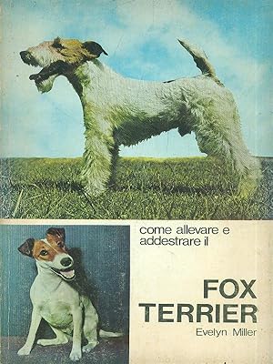 Come allevare e addestrare il fox terrier