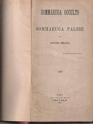 Seller image for Sommaruga occulto e Sommaruga palese for sale by Librodifaccia