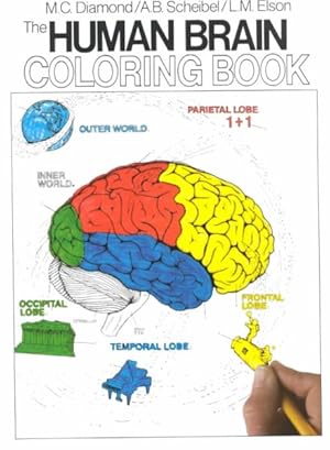 Bild des Verkufers fr Human Brain Coloring Book zum Verkauf von GreatBookPrices