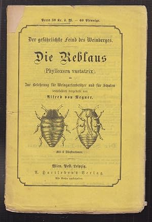 Image du vendeur pour Der gefhrlichste Feind des Weinberges. Reblaus (Phylloxera vastatrix). Zur Belehrung fr Weingartenbesitzer und fr Schulen. mis en vente par Antiquariat Burgverlag