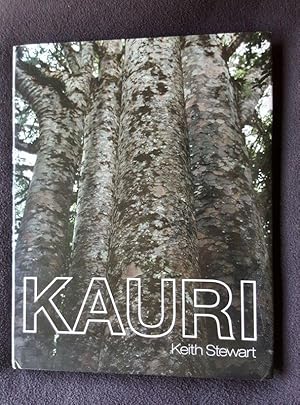 Kauri