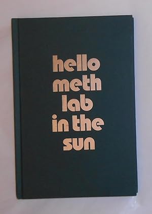 Immagine del venditore per Hello Meth Lab in the Sun - Jonah Freeman - Justin Lowe - Alexandre Singh (Ballroom Marfa 5 April - 3 August 2008) venduto da David Bunnett Books