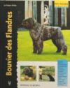 Bouvier des Flandres (Excellence)