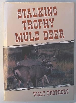 Stalking trophy mule deer.
