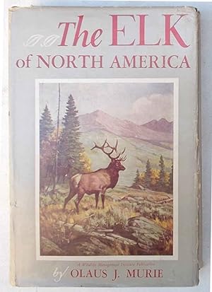 The elk of North America.