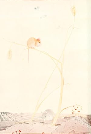 Bild des Verkufers fr The Town Mouse and the Country Mouse. zum Verkauf von Henry Sotheran Ltd